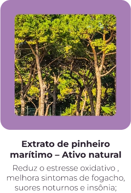 slides-2
